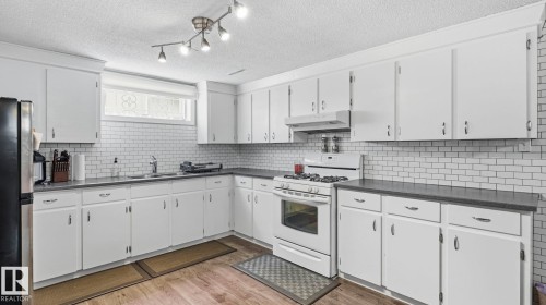 7819 132A Avenue Nw, Edmonton, AB - Indoor Photo Showing Kitchen With Double Sink