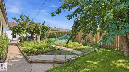 7819 132A Avenue Nw, Edmonton, AB - Outdoor