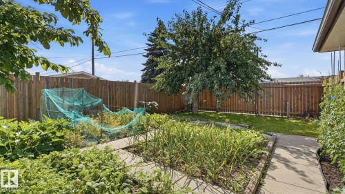 7819 132A Avenue Nw, Edmonton, AB - Outdoor