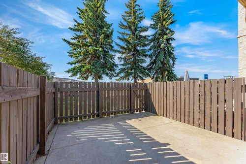 Private concrete patio area featuring a wooden privacy fence with a gate, bordered by mature evergreen trees - #4 7604 29 Av Nw, Edmonton, AB - Outdoor