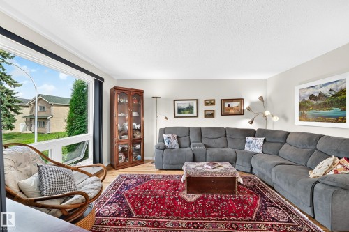 371 Kirkpatrick Crescent Nw, Edmonton, AB - Indoor Photo Showing Living Room
