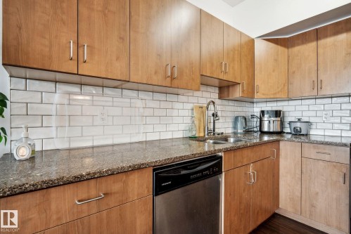 #209 10518 113 St Nw, Edmonton, AB - Indoor Photo Showing Kitchen With Double Sink