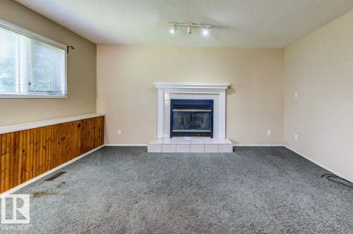 3908 28 Avenue Nw, Edmonton, AB - Indoor With Fireplace