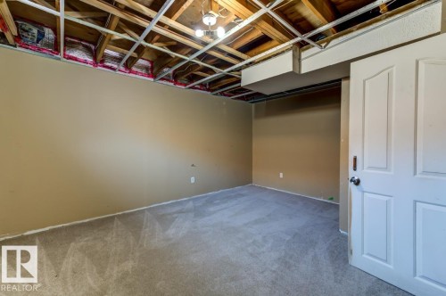 3908 28 Avenue Nw, Edmonton, AB - Indoor Photo Showing Basement