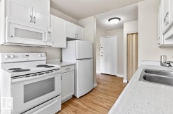 Kitchen featuring white cabinetry, white appliances, wood-finish flooring, and light-colored countertops with an integrated double basin stainless steel sink - 