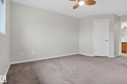 Neutral gray wall tones with white trim accents and dark gray carpeting - 