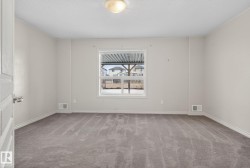 Spacious bedroom with neutral wall finishes, carpeted flooring in a warm gray tone, and abundant natural light from a large double-hung window - 