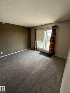 Spacious living area featuring neutral wall finishes, plush carpeting throughout, and abundant natural light from sliding glass doors - 