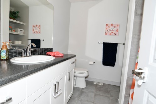 560 Sturtz Link, Leduc, AB - Indoor Photo Showing Bathroom