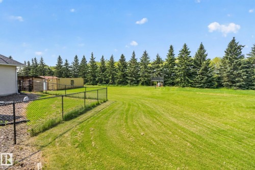 Expansive green lawn extending to a dense line of mature evergreen trees - 50336 Range Road 280, Rural Leduc County, AB - Outdoor