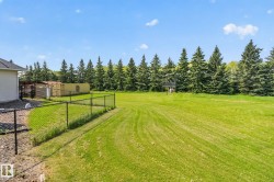 Expansive green lawn extending to a dense line of mature evergreen trees - 