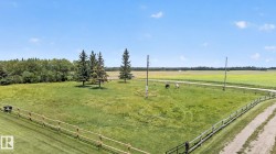 Expansive green pastureland with natural wood fencing - 