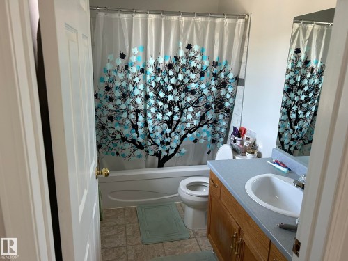 4014 Champagne Drive, Athabasca Town, AB - Indoor Photo Showing Bathroom