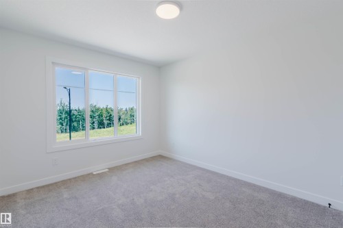 3327 Chernowski Way Sw, Edmonton, AB - Indoor Photo Showing Other Room