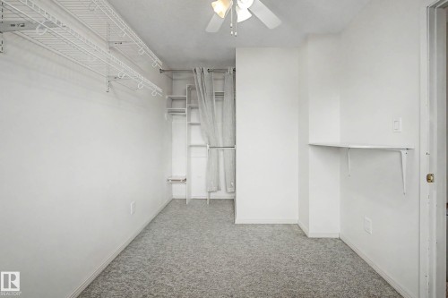 Room featuring light gray carpet, white walls, and a ceiling fan - 10032 173 Avenue Nw, Edmonton, AB - Indoor Photo Showing Other Room