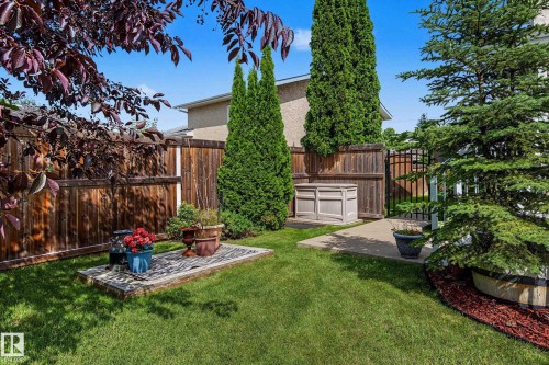 Manicured lawn with mature trees and shrubs, featuring a wood-panel fence, a concrete patio, and a decorative metal gate - 10032 173 Avenue Nw, Edmonton, AB - Outdoor