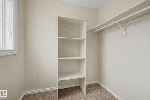 Walk-in closet featuring built-in shelving, a clothes hanging rod, and carpet flooring - 6016 10 Avenue Sw, Edmonton, AB - Indoor With Storage