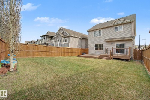 Spacious backyard featuring a large lawn area and wood privacy fencing - 6016 10 Avenue Sw, Edmonton, AB - Outdoor With Deck Patio Veranda