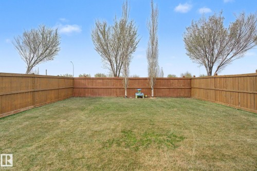 Expansive backyard featuring a natural grass lawn - 6016 10 Avenue Sw, Edmonton, AB - Outdoor