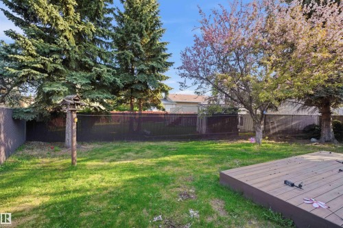 2107 40 Street Nw, Edmonton, AB - Outdoor With Backyard