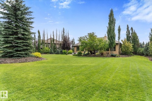 Expansive green lawn surrounded by mature trees, including a large evergreen and tall deciduous varieties - #52 Riverstone Close, Rural Sturgeon County, AB - Outdoor