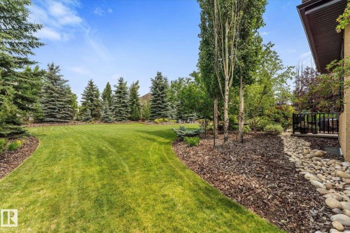 Expansive backyard featuring a manicured lawn, a border of mature evergreen trees, a mulched garden bed with established trees, and a river rock drainage channel alongside the property - #52 Riverstone Close, Rural Sturgeon County, AB - Outdoor