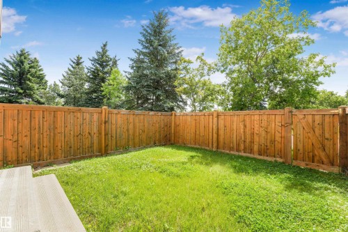 Private backyard featuring a wood fence, a patch of green grass, and mature trees in the background - #39 14511 52 Street Nw, Edmonton, AB - Outdoor