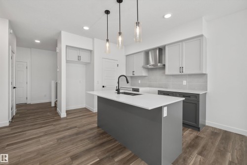 18931 28 Avenue Nw, Edmonton, AB - Indoor Photo Showing Kitchen With Double Sink With Upgraded Kitchen