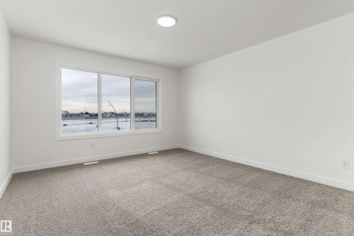 18927 28 Avenue Nw, Edmonton, AB - Indoor Photo Showing Other Room