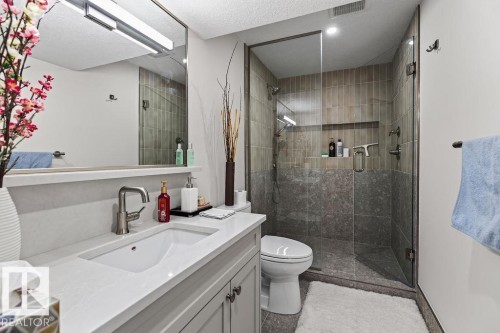 Three-piece bathroom featuring a glass-enclosed shower with contrasting tilework, a built-in shower niche, and a wall-mounted showerhead - 1046 Jones Crescent Nw, Edmonton, AB - Indoor Photo Showing Bathroom