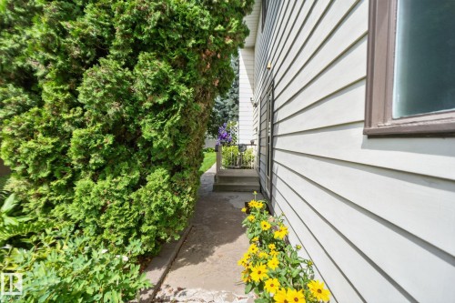 18132 78 Avenue Nw, Edmonton, AB - Outdoor