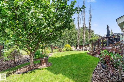 8 Danfield Place, Spruce Grove, AB - Outdoor