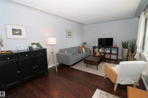 8620 79 Street Nw, Edmonton, AB - Indoor Photo Showing Living Room