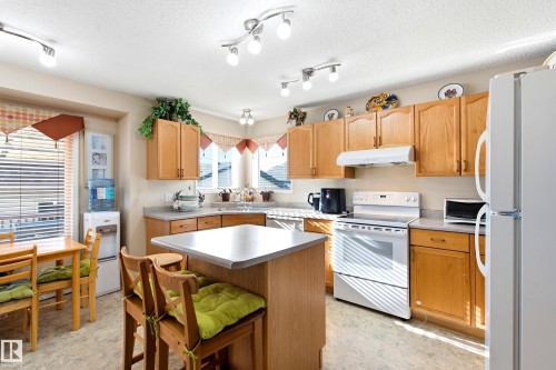 2806 31 Street Nw, Edmonton, AB - Indoor Photo Showing Kitchen With Double Sink