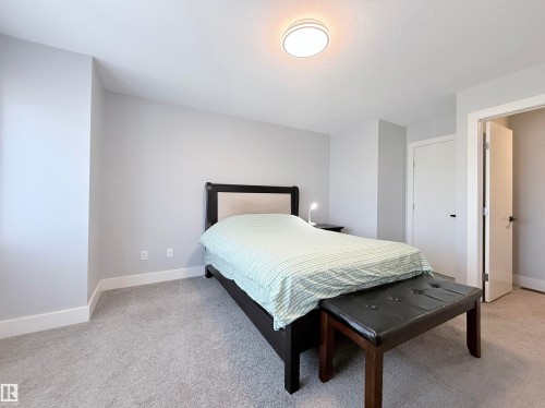 Spacious bedroom featuring a black wood-frame bed, neutral bedding, carpeted flooring, recessed ceiling lighting, and multiple closet access points - 8719 218 Street Nw, Edmonton, AB - Indoor Photo Showing Bedroom