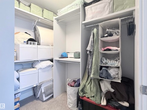 Integrated closet system featuring multiple shelving units and hanging rods - 8719 218 Street Nw, Edmonton, AB - Indoor With Storage