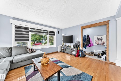 9031 150 Street Nw, Edmonton, AB - Indoor Photo Showing Living Room