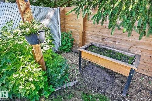 7707 156 Street Nw, Edmonton, AB - Outdoor