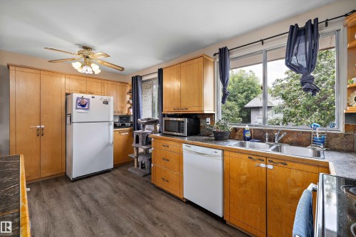 14220 58 Street Nw, Edmonton, AB - Indoor Photo Showing Kitchen With Double Sink