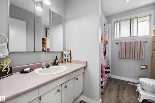 14220 58 Street Nw, Edmonton, AB - Indoor Photo Showing Bathroom