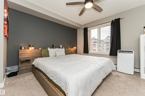 Master bedroom featuring a wood-finish platform bed frame, carpeted flooring, ceiling fan with integrated lighting, and a dark accent wall - #310 2229 44 Av Nw, Edmonton, AB - Indoor Photo Showing Bedroom