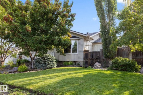 Expansive front yard featuring a manicured lawn, mature trees, and landscaping elements - 9503 54 Street Nw, Edmonton, AB - Outdoor