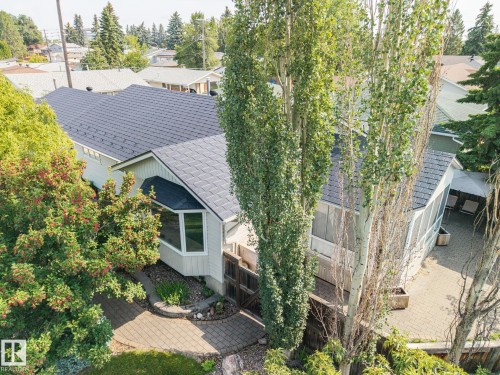 Paved walkway with established landscaping, bay window, and a screened-in porch with a shingled roof - 9503 54 Street Nw, Edmonton, AB - Outdoor