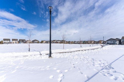 Park directly behind the house - 1312 26 Avenue Nw, Edmonton, AB - Outdoor With View