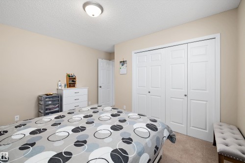Neutral-toned walls complement the textured carpet flooring - 3344 24 Avenue Nw, Edmonton, AB - Indoor Photo Showing Bedroom