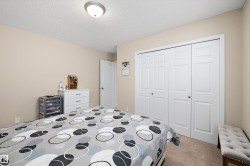 Neutral-toned walls complement the textured carpet flooring - 
