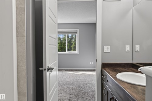 4218 Alexander Bay Sw, Edmonton, AB - Indoor Photo Showing Bathroom