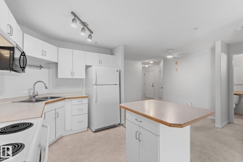 #417 11325 83 St Nw, Edmonton, AB - Indoor Photo Showing Kitchen With Double Sink