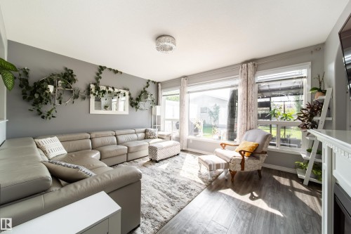 Bright, light-filled living room anchored by a sectional arrangement and complemented by wood-finish flooring throughout - 7239 21 Avenue Sw, Edmonton, AB - Indoor Photo Showing Living Room