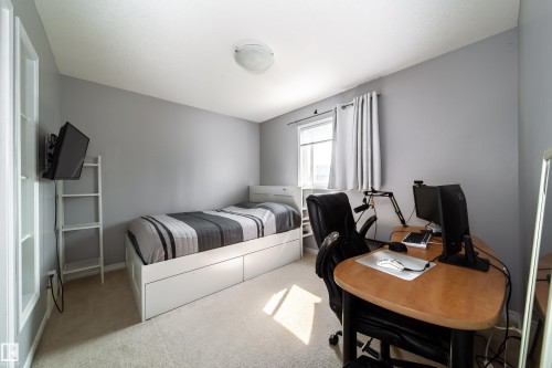 Bright, light-filled bedroom with gray walls, large windows with natural light, and light wood-finish flooring - 7239 21 Avenue Sw, Edmonton, AB - Indoor Photo Showing Bedroom